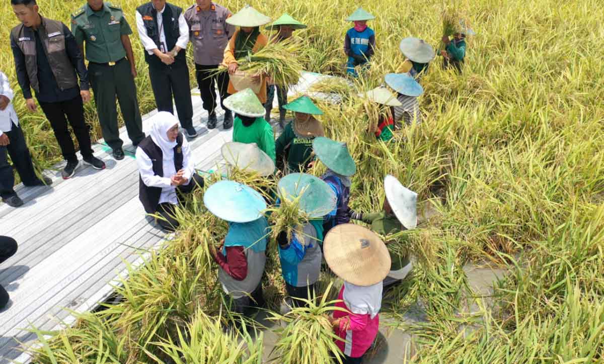 Gubernur Khofifah Sabet Penghargaan Adhikarya Nararya Pembangunan Pertanian