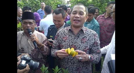 Menteri Desa, Pembangunan Daerah Tertinggal dan Transmigrasi (PDT), Marwan Jafar mengunjungi wisata petik jeruk. Foto: robert/BANGSAONLINE