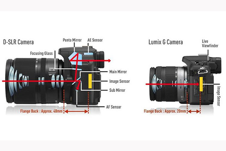 Kamera DSLR dan Kamera Mirrorless. Foto : ist.