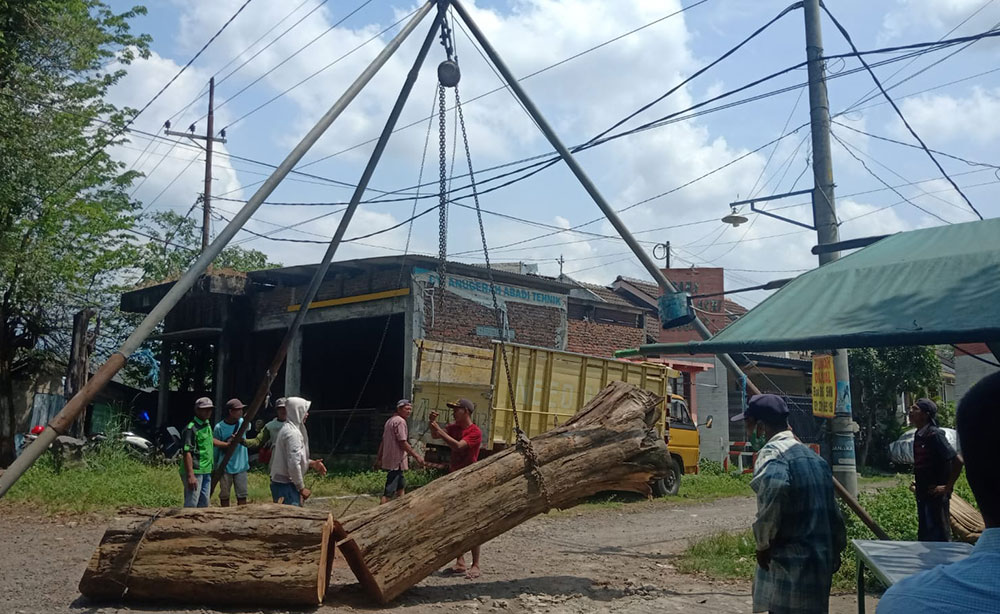 Bongkahan kayu dari penebangan pohon sonokeling secara liar saat hendak diamankan sebagai barang bukti.