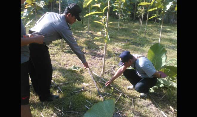 Lokasi tewasnya korban.