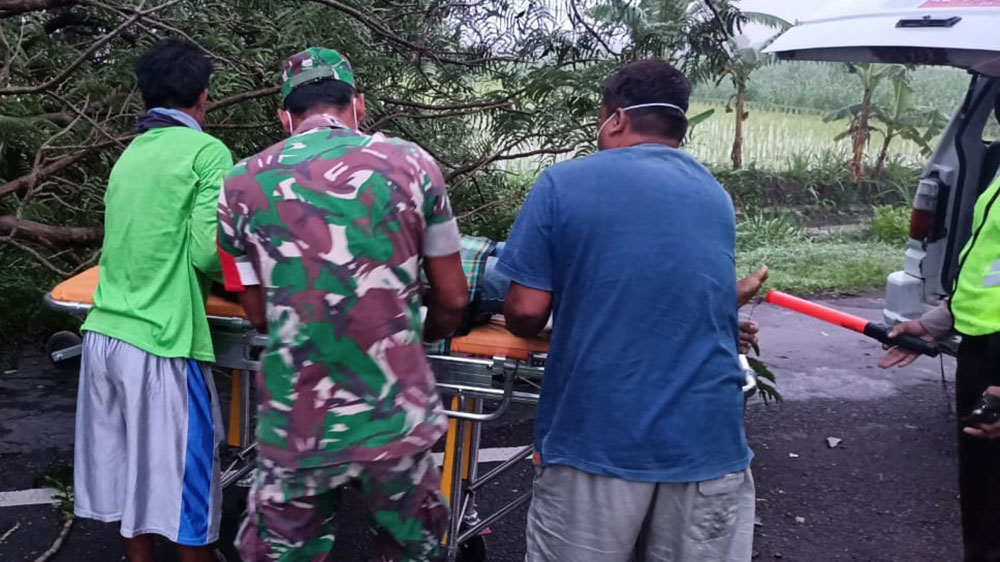 Petugas saat melakukan evakuasi kepada pengendara motor yang tewas usai menabrak pohon tumbang di Ngawi.