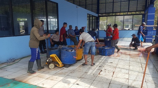 Pemandangan di TPI PPP Tamperan Pacitan.