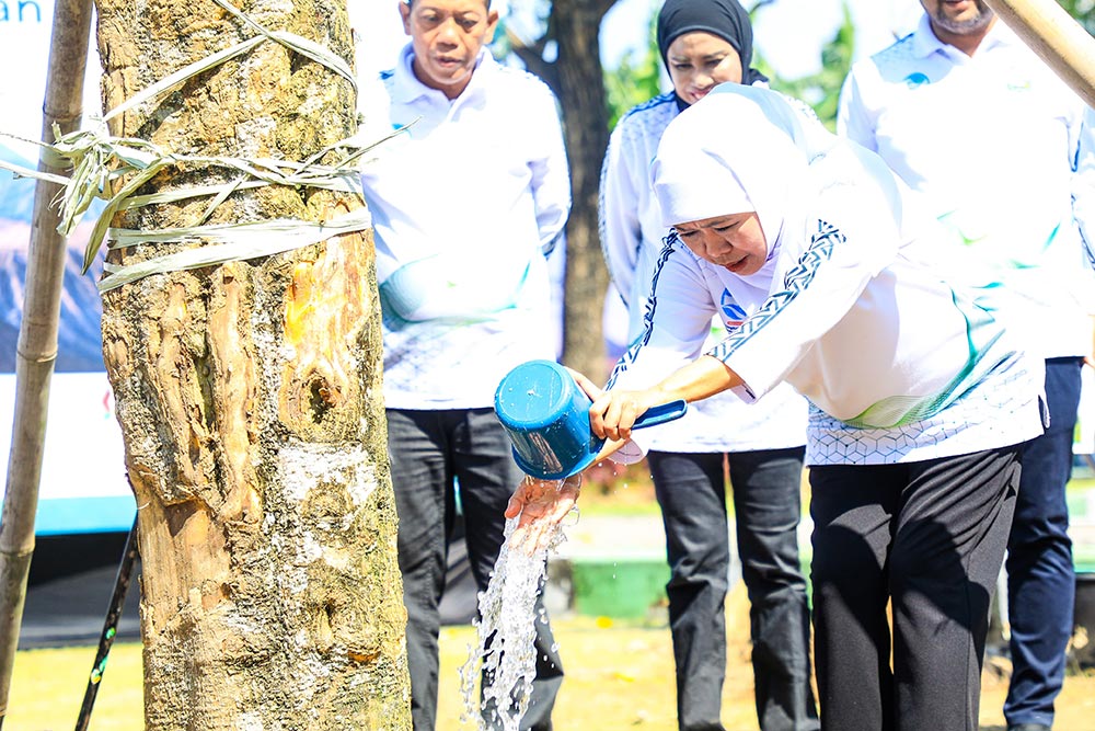Gubernur Khofifah bersama jajaran Forkopimda menanam pohon pule setinggi enam meter sebagai simbol komitmen perluasan ruang terbuka hijau di wilayah perkotaan.