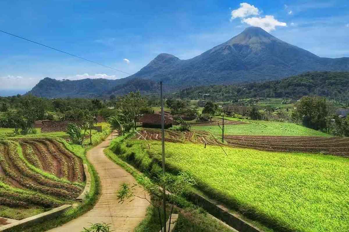 Terasering Selotapak, Trawas, Mojokerto.