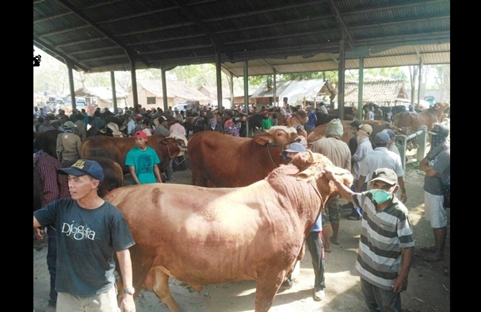 Para jagal dan pedagang sapi saat memadati pasar hewan.