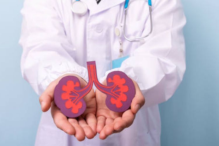 Understanding the Difference Between Kidney Cysts and Kidney Cancer