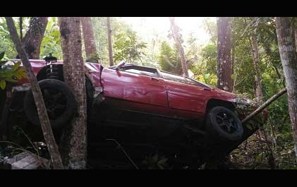 Kondisi sedan saat menyangkut di rerimbunan pohon.