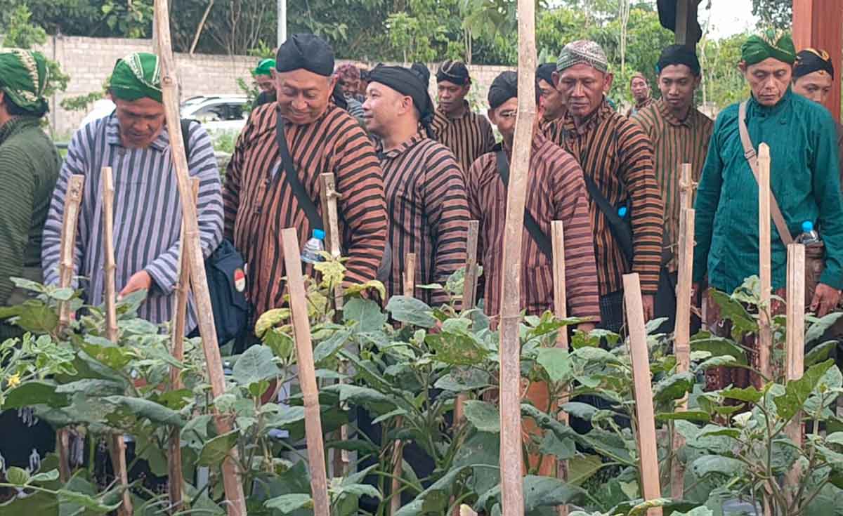 Para peserta saat mengikuti pelatihan. Foto: Ist