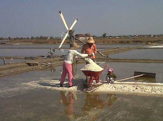 BERKAH CUACA - Petani garam sedang memanen hasil panenan di Desa Tambak Cemandi Kecamatan Sedati Kabupaten Sidoarjo. foto : nanang ichwan/BangsaOnline