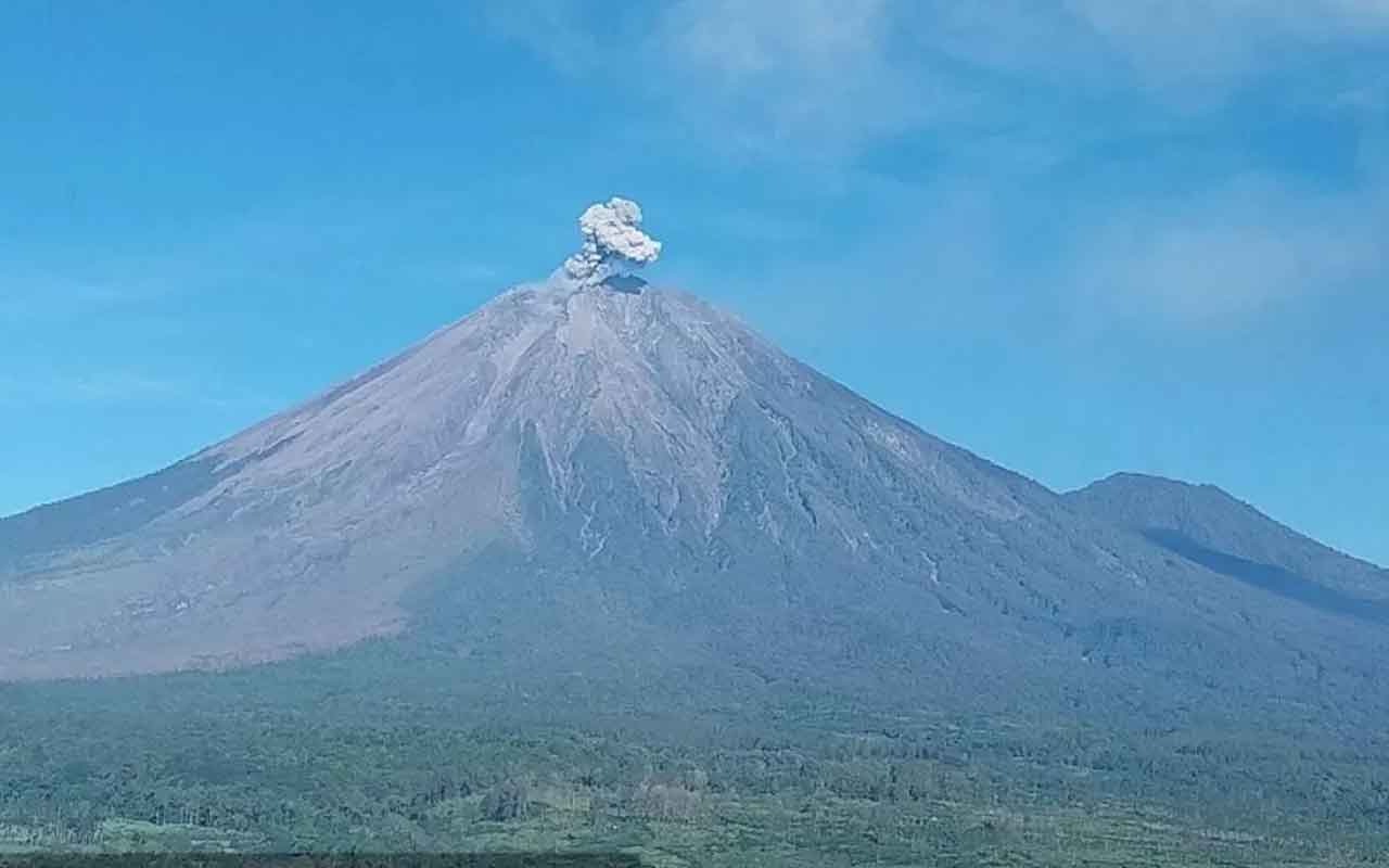 Gunung Semeru saat erupsi, dan tercatat erupsi sebanyak 7 kali pada Selasa (4/2/2026). Foto: Ist.