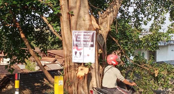 Poster ajakan coblos kotak kosong terpasang di pohon besar di Desa Kembangan, Kebomas. Foto: SYUHUD/ BANGSAONLINE.com
