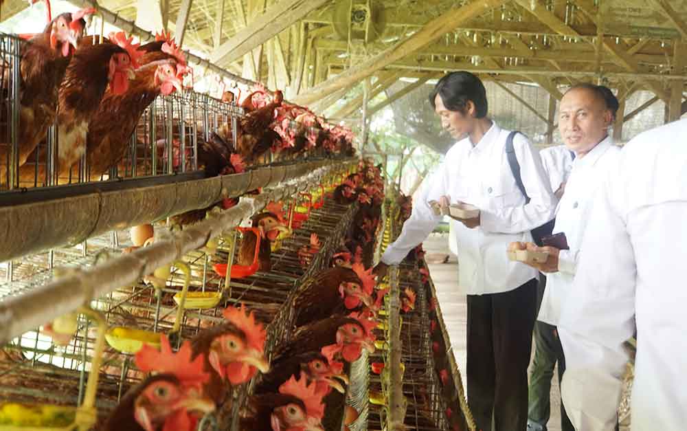 Pengurus dan Anggota PWI Kabupaten Tuban saat meninjau langsung Program Pemberdayaan yang digagas PT SIG pabrik Tuban untuk warga sekitar perusahaan.
