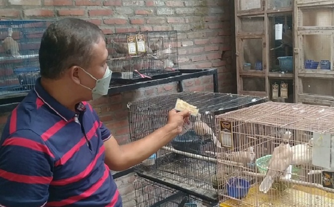 Bambang Dwi Cahyo di kandang puter pelungnya di Desa Gogorante Kecamatan Ngasem Kabupaten Kediri.