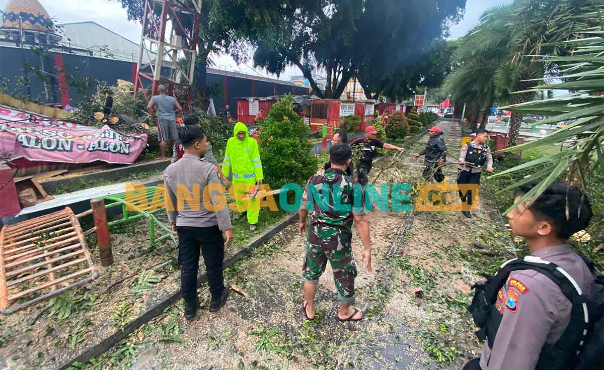 Pohon beringin yang ambruk di Alun-Alun Kota Blitar akibat hujan deras disertai angin. Foto: AKINA NUR ALANA/BANGSAONLINE