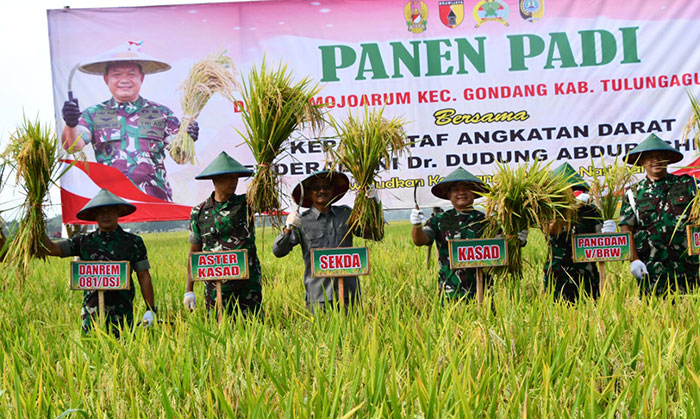 KSAD Hadiri Panen Raya Padi di Tulungagung