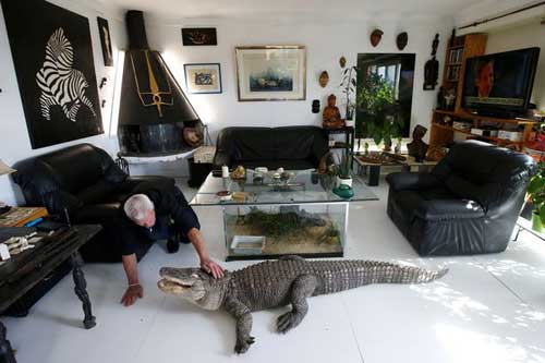 Bersenda gurau dengan buaya, dalam arti sebenarnya. foto: mirror.co.uk