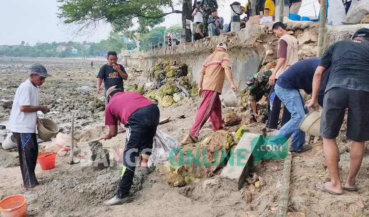 Warga dibantu Muspika Paciran sedang kerja bakti mempebaiki TPT pantai. 