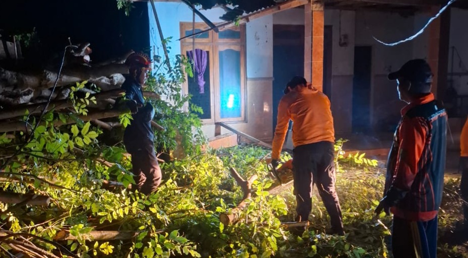 Petugas BPBD Sampang saat memotong bagian ranting pohon yang tumbang