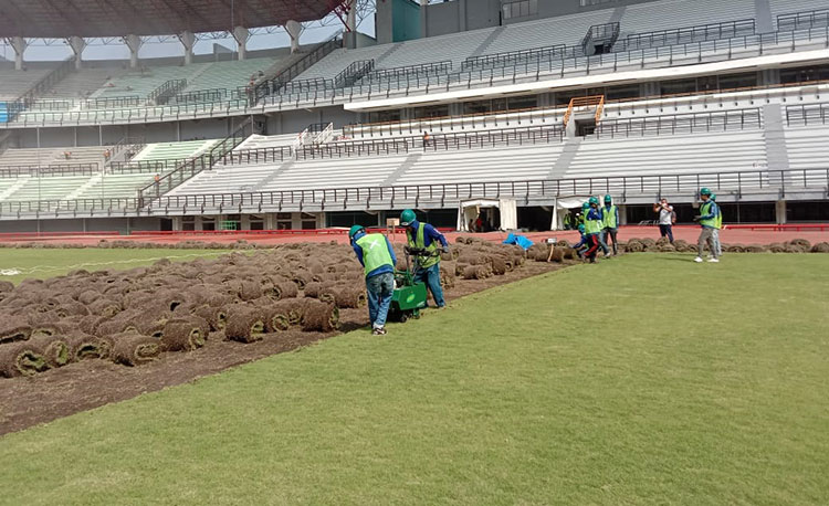 Para petugas dari DPRKPCKTR Kota Surabaya tampak sibuk melakukan pengupasan rumput Stadion GBT. (foto: ist).