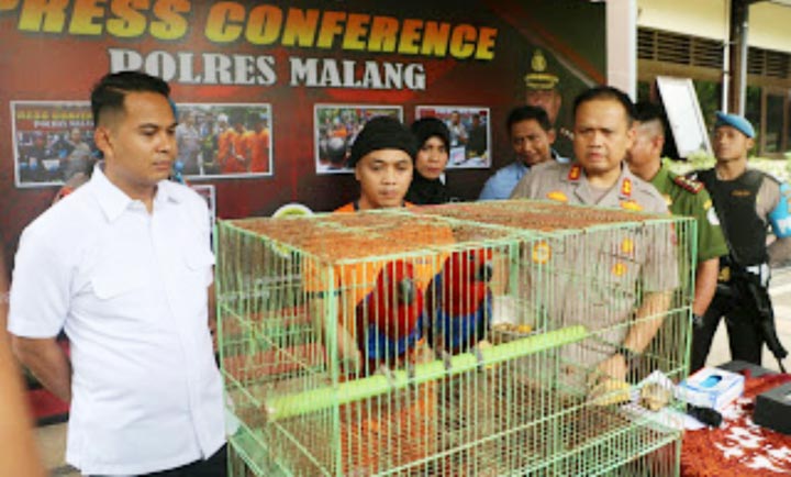 Jual Burung Langka Lewat FB, Pria ini Diringkus Polisi