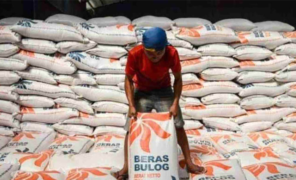 Petugas Bulog saat cek kualitas Beras.