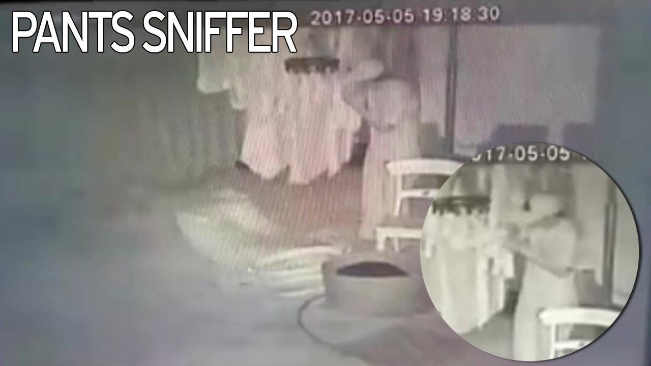 Byuh.. mungkin lebih jos, ketika belum dicuci. foto: mirror.co.uk