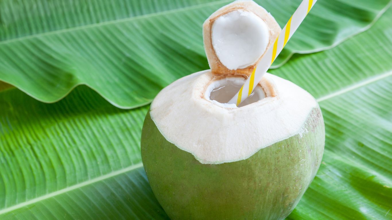 Amankah Minum Air Kelapa Setiap Hari? Ini Faktanya. Foto: Ist