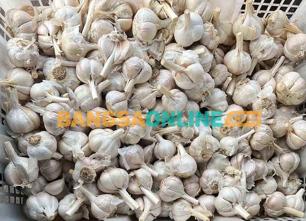 Bawang putih menjadi komoditas yang mengalami kenaikan hari ini. Foto: Sulthon/Bangsaonline.