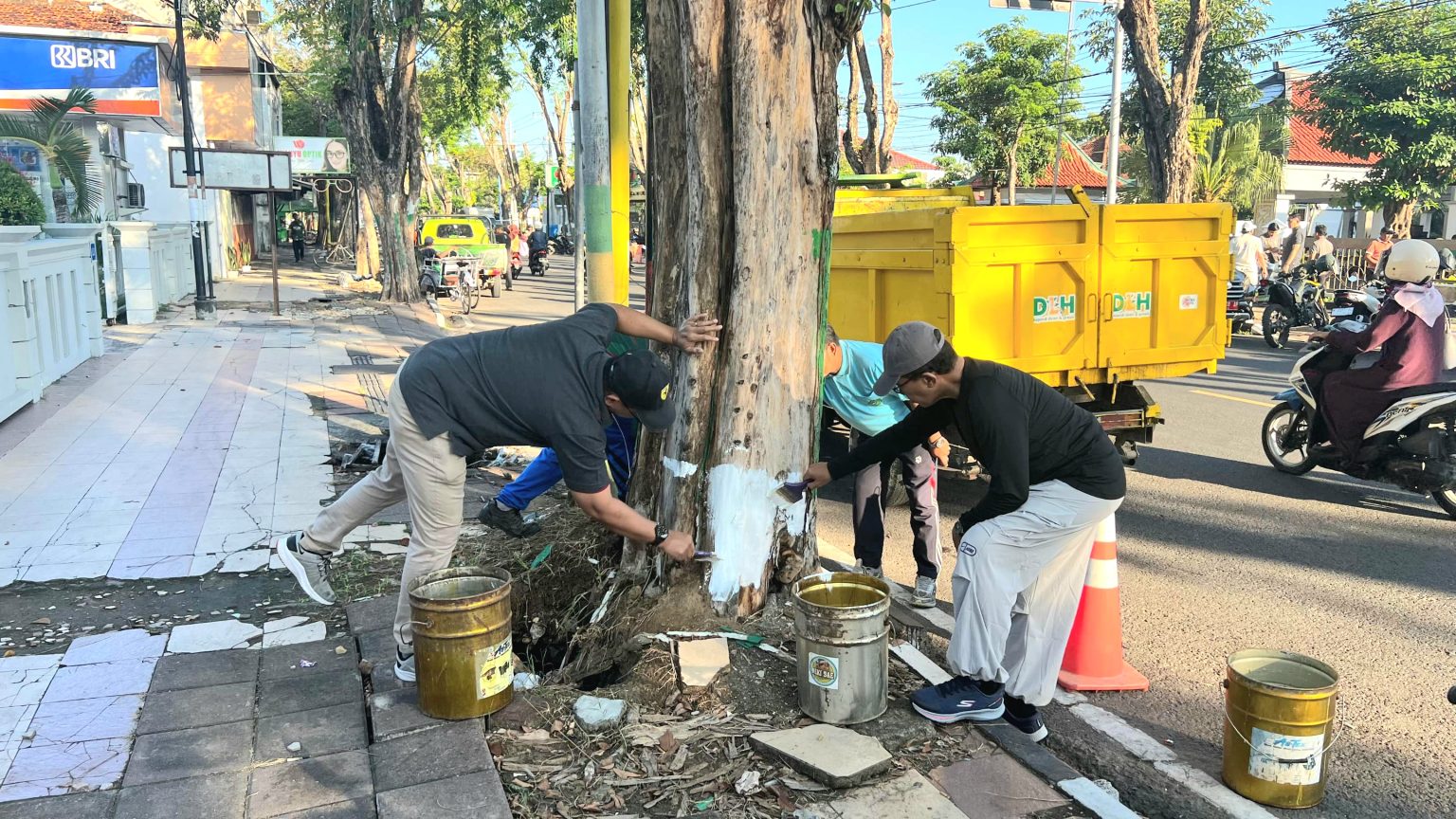 Bupati Pamekasan KH. Kholilurrahman (kanan) mengecat ulang pohon di pinggir jalan raya, Jumat (24/4/2026).