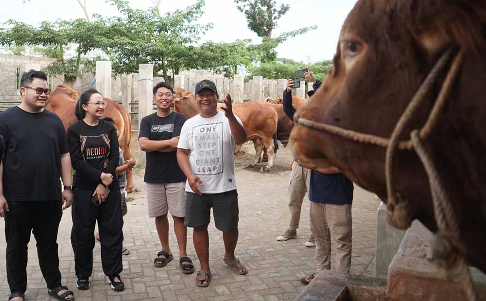 Bupati Kediri Hanindhito Himawan Pramana bersama istri Eriani Annisa Hanindhito, saat membeli empat ekor sapi. Foto: Ist. 