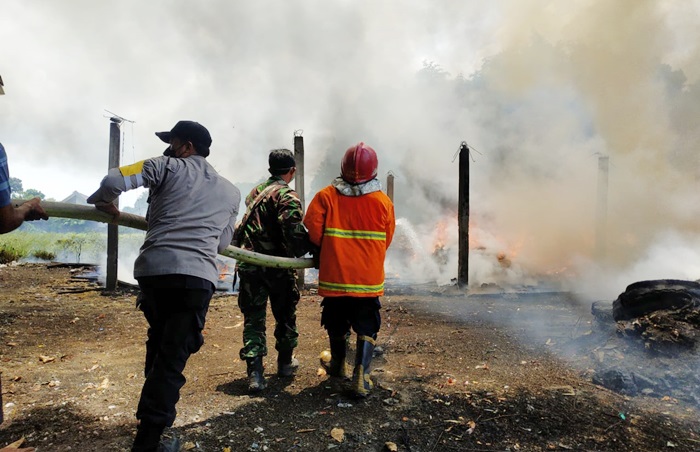 Petugas Damkar dibantu aparat dari TNI dan Polri saat berusaha memadamkan api. foto: ist.