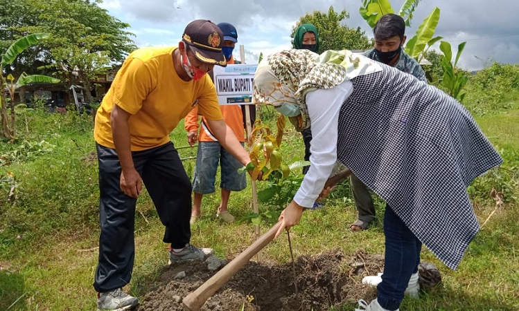 Wabup Kediri Terpilih Tanam Pohon di Lereng Gunung Wilis