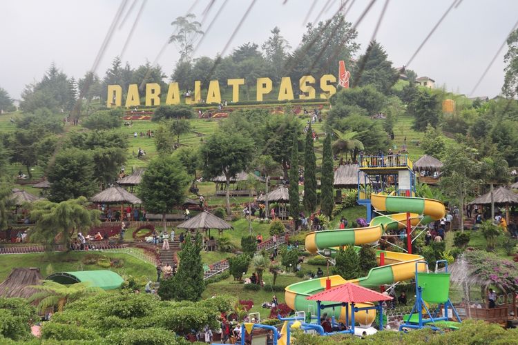 Pesona Taman Nasional Alas Purwo, Hutan Tertua di Pulau Jawa. Foto: Ist