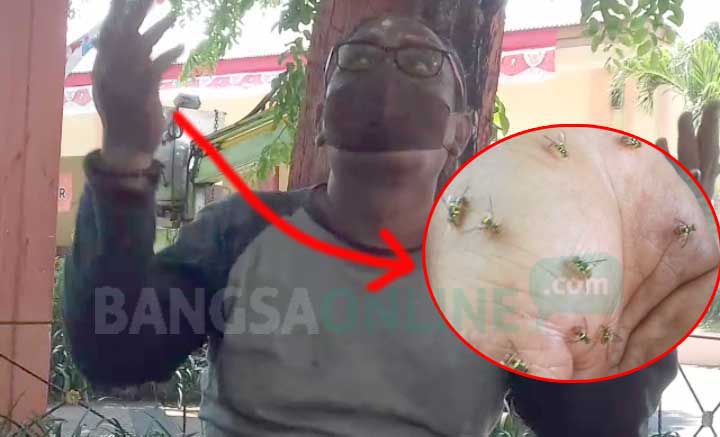 Gogon Harun saat menunjukkan 