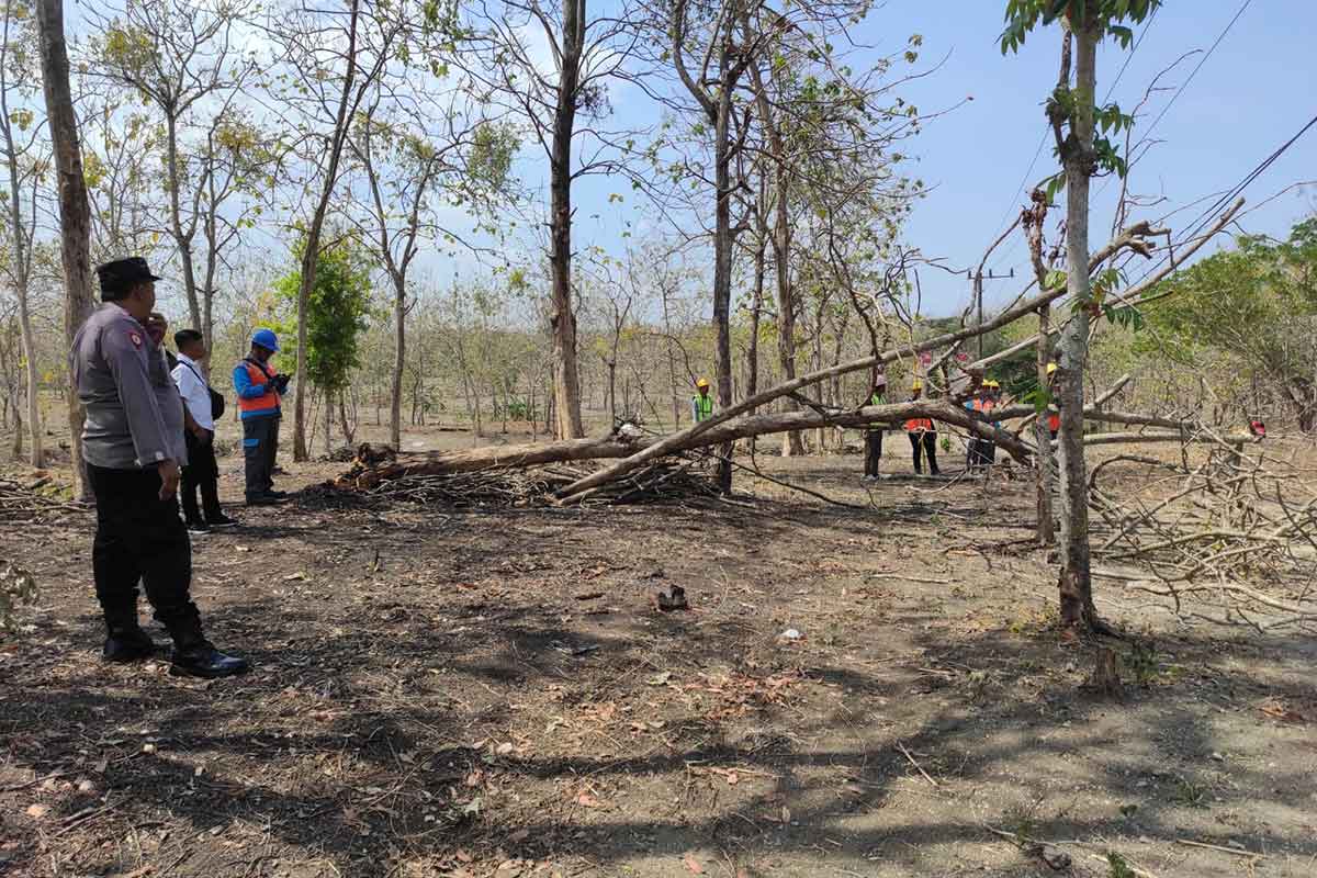 KPH Ngawi bersama Polsek Karanganyar dan PLN melakukan penebangan pohon untuk antisipasi terjadinya terputusnya aliran listrik.