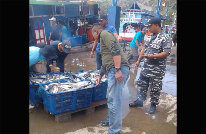 Suasana di PPP Tamperan saat musim ikan.