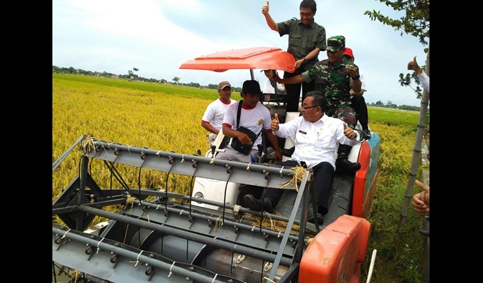 Sekretaris Daerah (Sekda) Kabupaten Tuban Budi Wiyana saat mendampingi Irjen Tanaman Pangan Kementrian Pertanian Tri Susetyo saat panen raya.