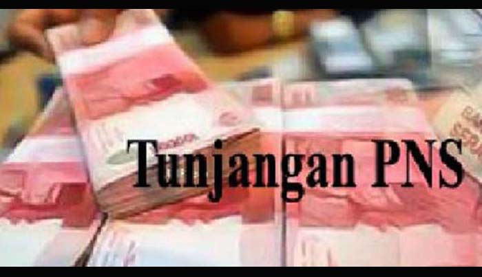 Pemkab Pacitan akan Bayarkan TPP September Mendatang