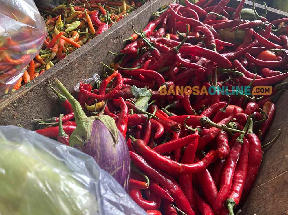 Cabai merah besar saat ini menjadi bahan pokok yang mengalami kenaikan tertinggi di Bali. Foto: Sulthon/BANGSAONLINE.