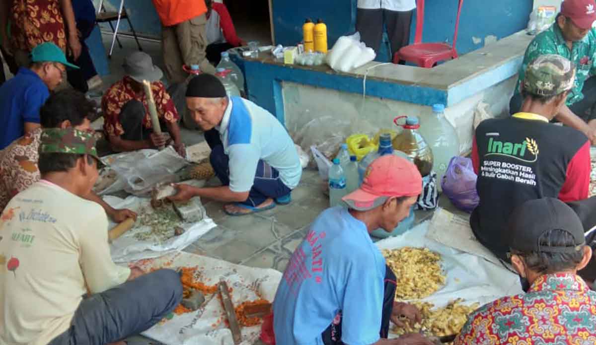 Proses pembuatan pupuk organik dari bahan fermentasi di Ngawi.