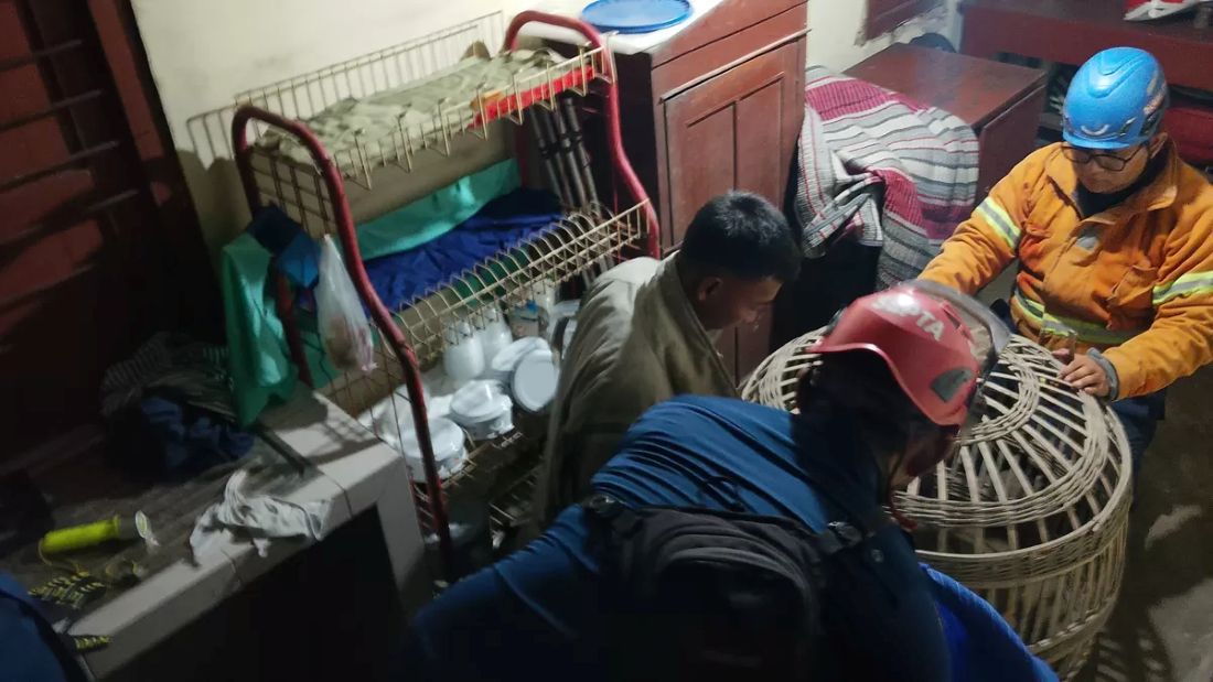 Damkar Jombang saat mengevakuasi monyet peliharaan warga yang lepas