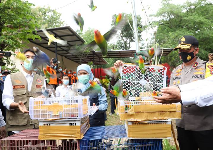 Berada di Area Terbuka di Madiun, Khofifah Resmikan RS Lapangan Joglo untuk Pasien Covid-19  