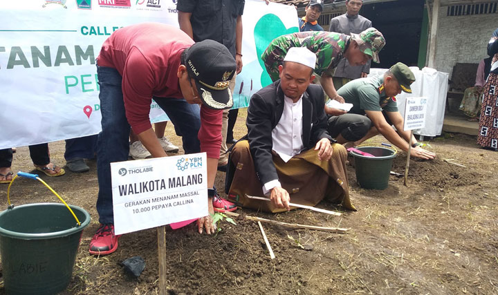 Wali Kota Malang Sutiaji didampingi Ust. Nuril Ashuri bersama Danrem 083/BJ Kol. Inf Zainudin menanam bibit pepaya Callina di Dusun Baran Kelurahan Buring Kedungkandang Kota Malang, Minggu (12/01/20). foto: IWAN IRAWAN/ BANGSAONLINE