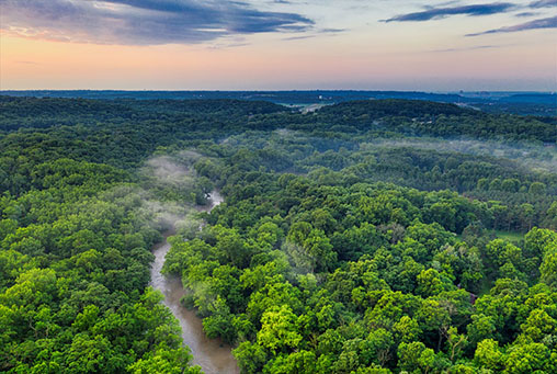 Ilustrasi Sungai Amazon