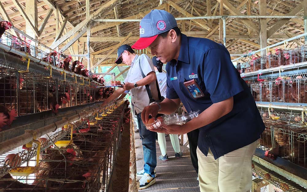Public Relation & Corporate Social Responsibility Management Officer SIG Pabrik Tuban, Luksono, bersama tim media saat monev di program ayam petelur.