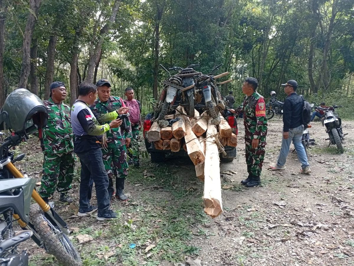 Barang bukti belasan batang kayu dan motor yang digunakan dalam aksi pembalakan liar di kawasan Perhutani Jatirogo Tuban diamankan