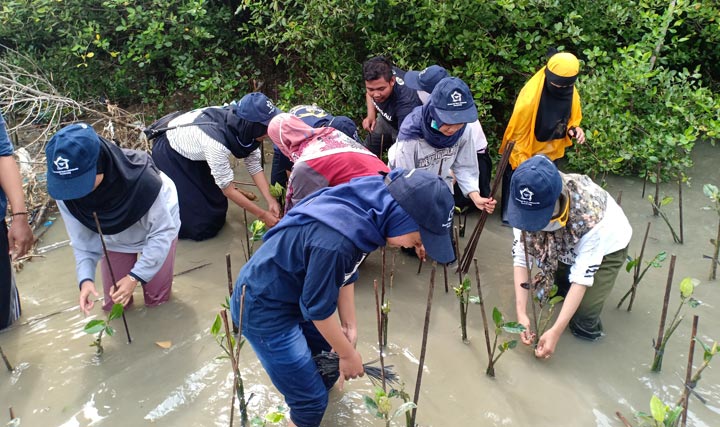 Penanaman 10 ribu bibit pohon mangrove oleh komunitas peduli lingkungan di Pantai Trimulyo, Kecamatan Genuk, Kota Semarang, Ahad (15/12). 