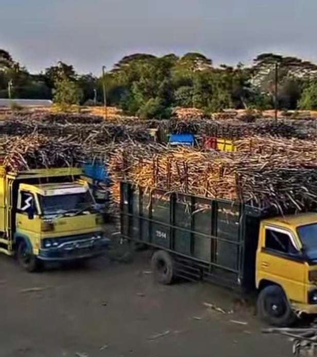 Truk tebu mengantre di Pabrik Gula (PG) Assembagoes untuk giling tebu