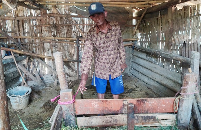 Aziz Mat Hari sedang menunjukkan kandang sapi miliknya yang raib digondol maling.